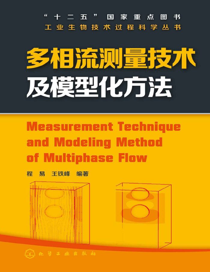 《多相流测量技术及模型化方法》原版PDF
